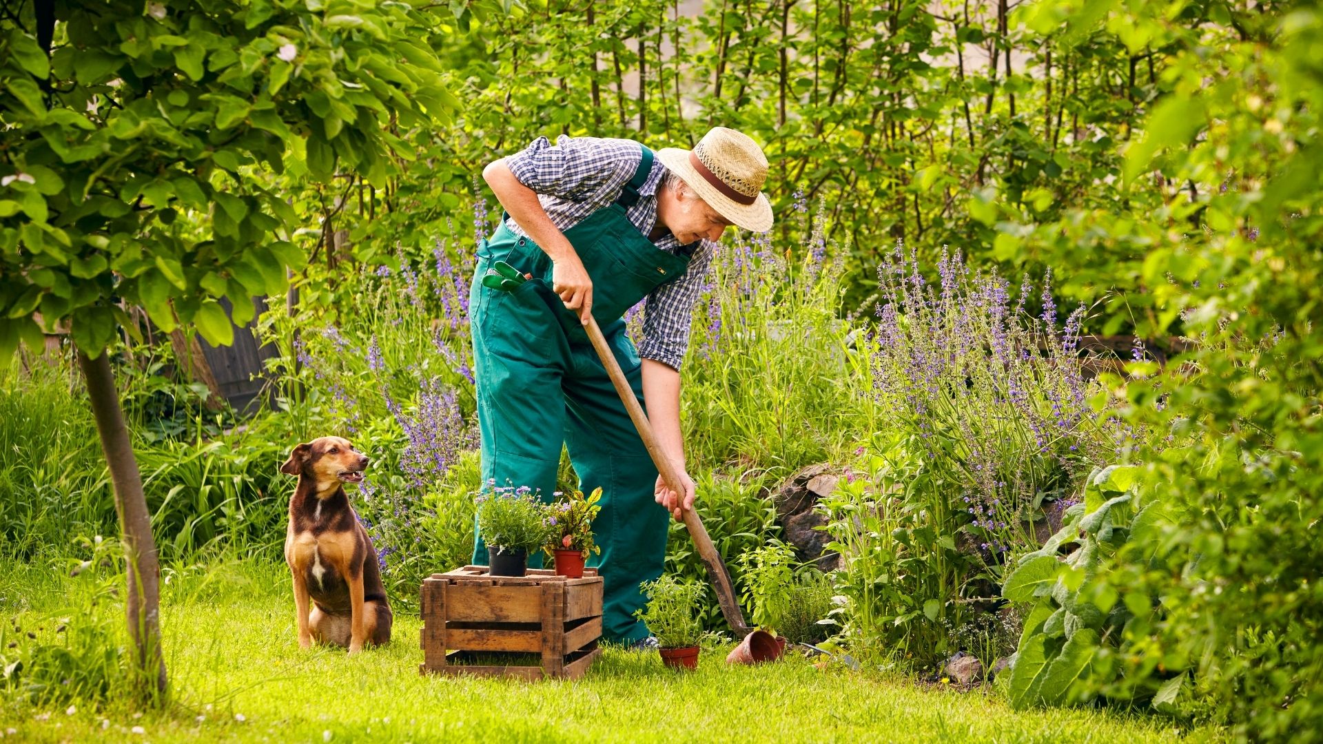 découvrez les bases du jardinage pour débutants : conseils pratiques, choix des plantes, entretien facile et astuces pour créer un jardin florissant, même sans expérience.